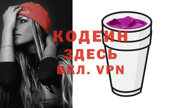 СК Инта
