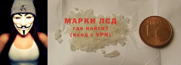 СК Инта
