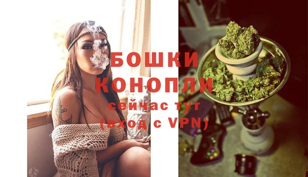 СК Инта