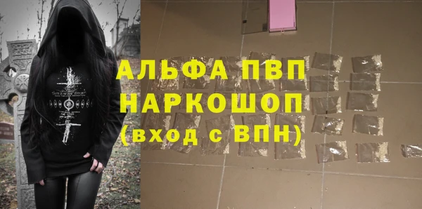 СК Инта